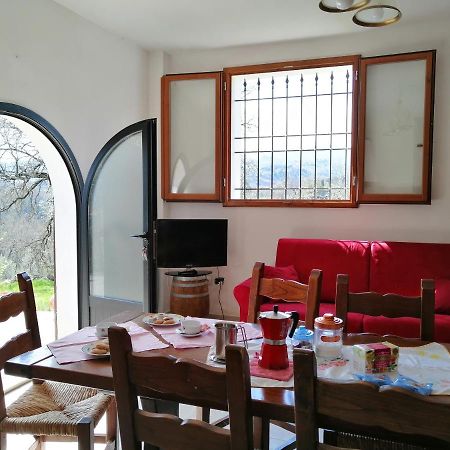 Apartament Casa Pancole Il Tinello Cavriglia Zewnętrze zdjęcie
